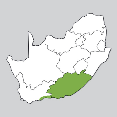 gardenroute_easterncape.jpg